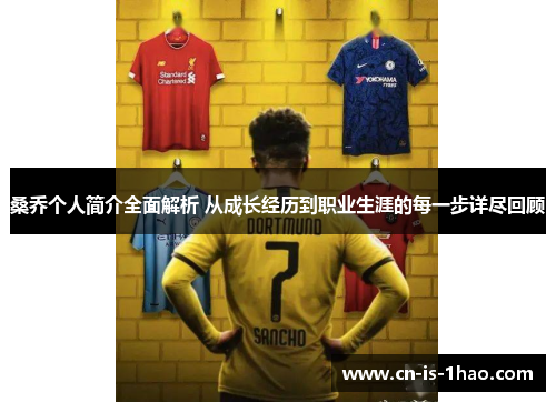 桑乔个人简介全面解析 从成长经历到职业生涯的每一步详尽回顾