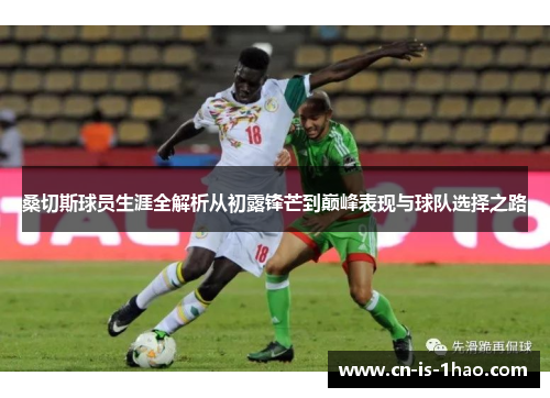 桑切斯球员生涯全解析从初露锋芒到巅峰表现与球队选择之路