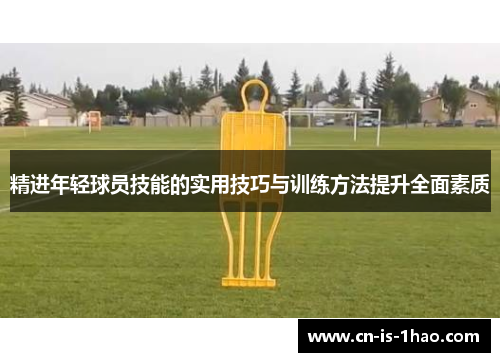 精进年轻球员技能的实用技巧与训练方法提升全面素质