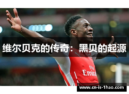 维尔贝克的传奇：黑贝的起源
