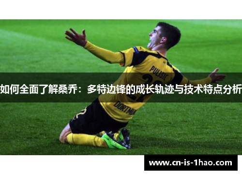 如何全面了解桑乔：多特边锋的成长轨迹与技术特点分析