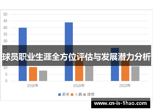 球员职业生涯全方位评估与发展潜力分析